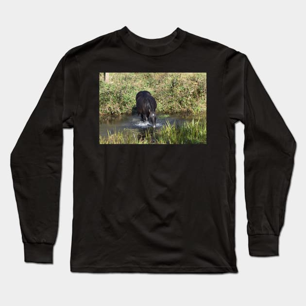 Wild Horse Mare Long Sleeve T-Shirt by MarieDarcy